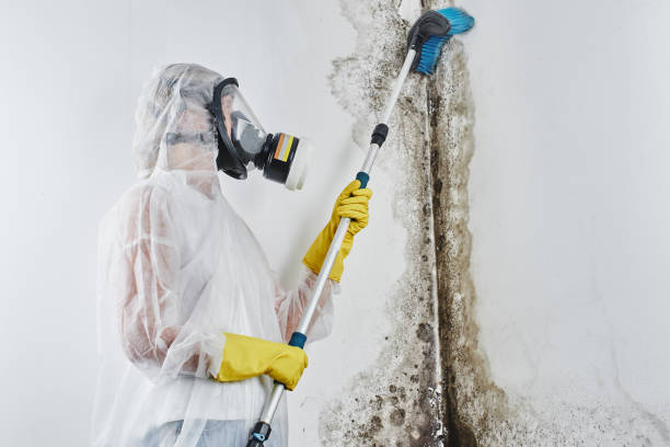 Best Residential water damage restoration  in Oxoboxo River, CT